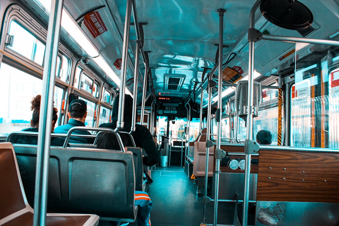 Your Guide to Affordable and Scenic Bus Rides: Buckle Up for 7-Star Adventure 2 pexels photo 808846
