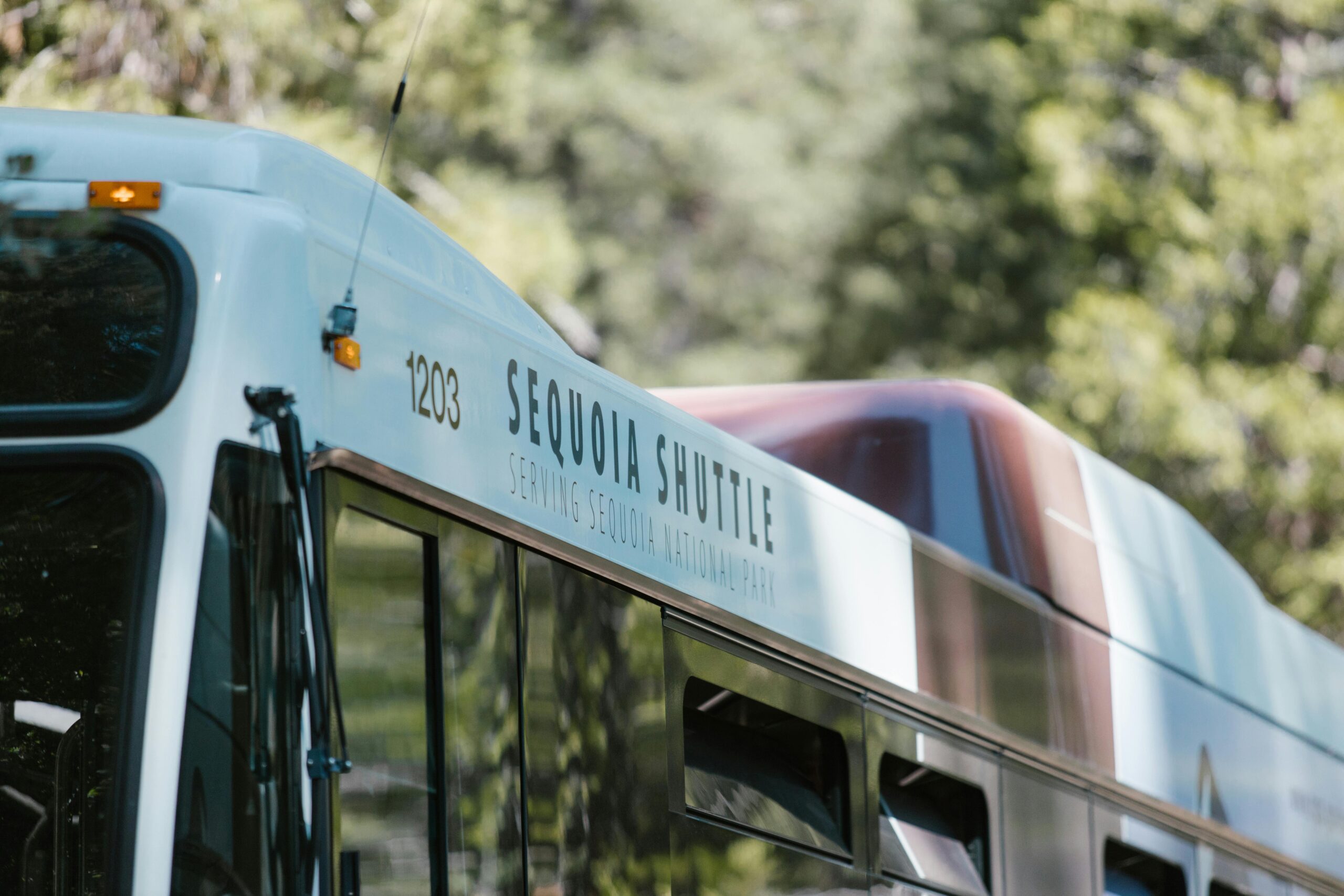 Your Guide to #1 New York Bus: Navigating the Big Apple 2 pexels rdne stock project 8552652 scaled 1