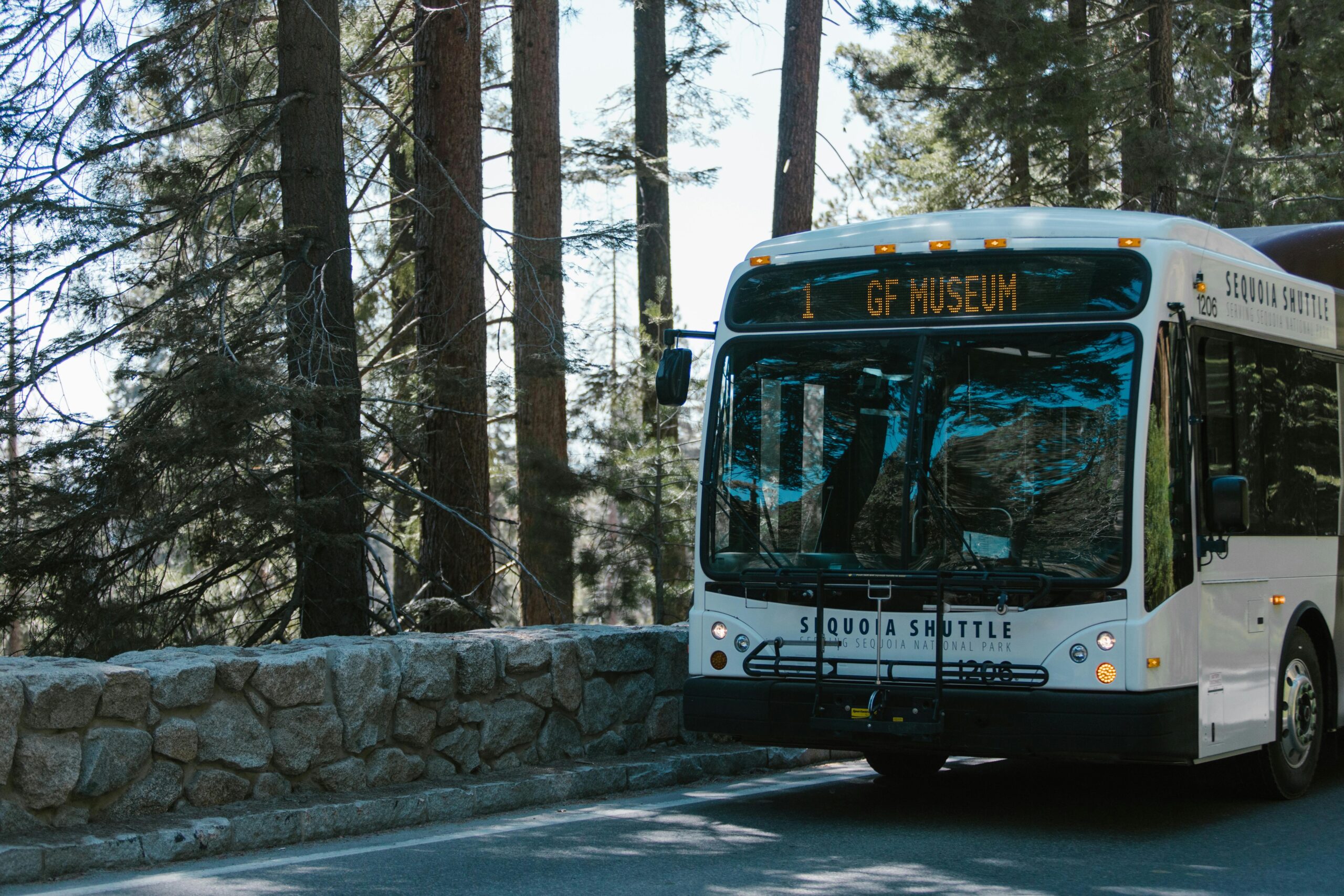 Turn Up the Fun: Party Bus Near Me - Your VIP Ride to Unforgettable Events 4 pexels rdne stock project 8553100 scaled 2