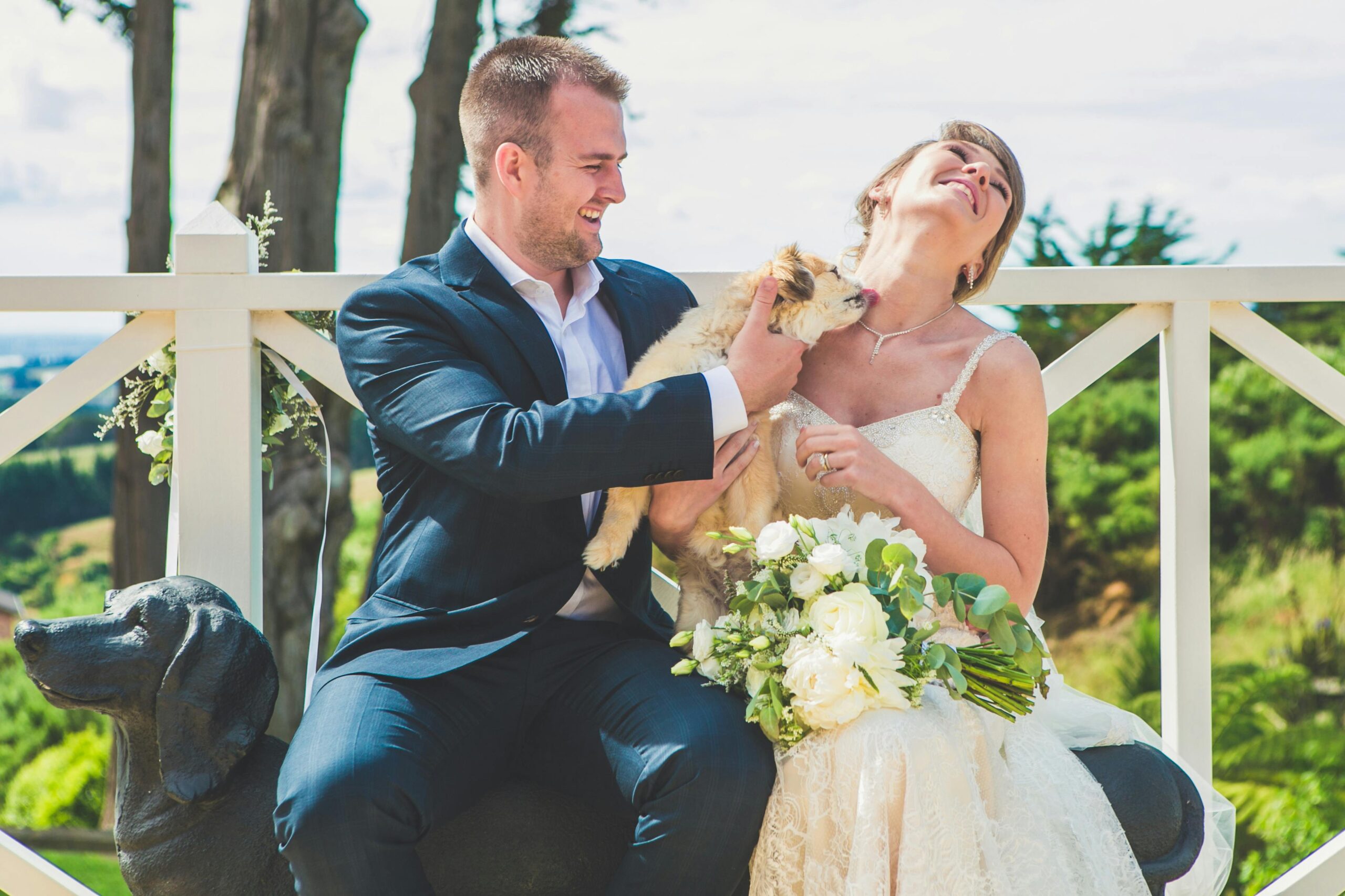 Pet Friendly Wedding Shuttles NYC in 2026: Real Talk on Including Your Dog (or Cat) in the Big Day 6 pet friendly wedding shuttles NYC