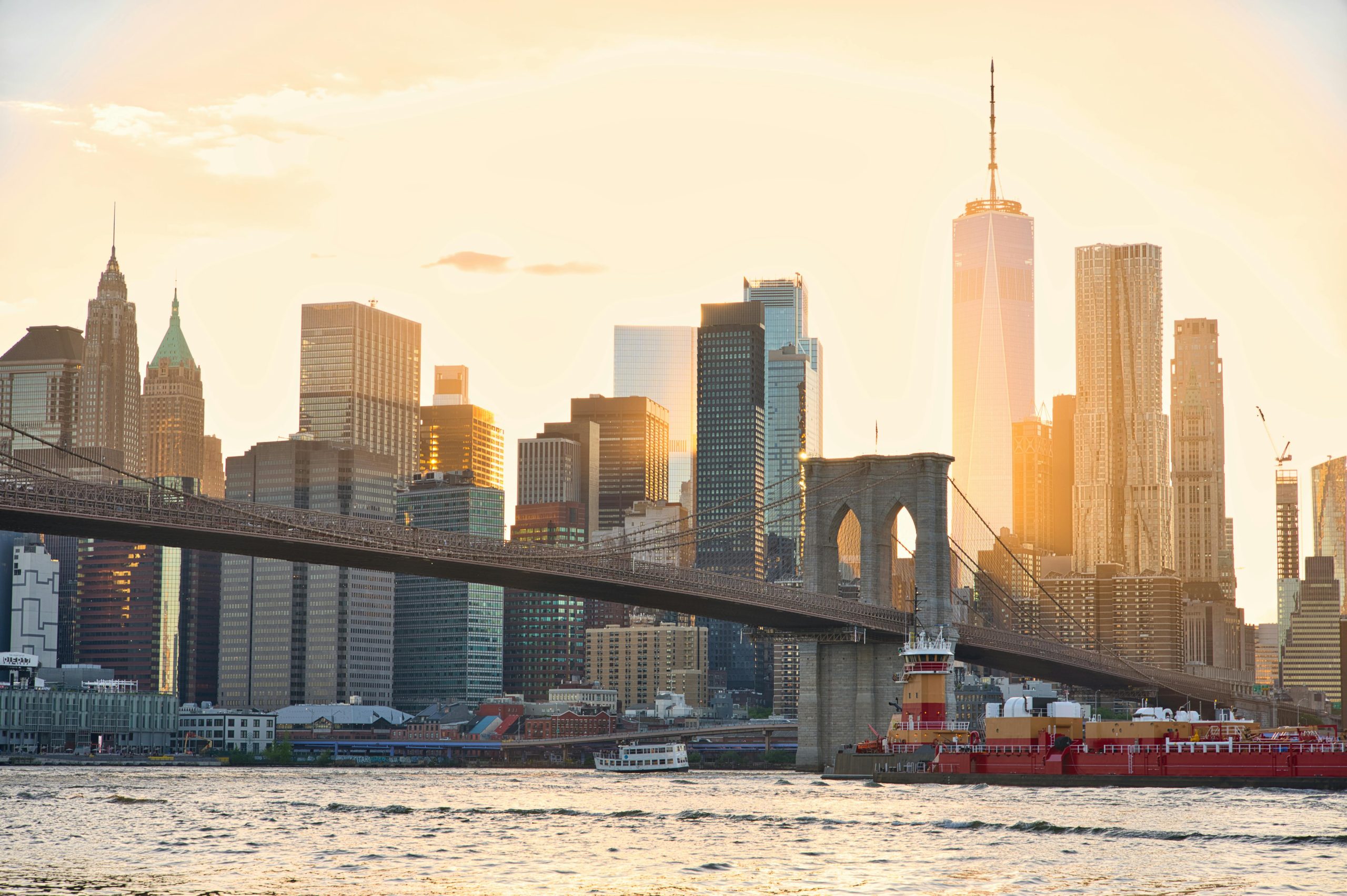 New York City Wedding Shuttle Bus Rentals: 7 Honest Findings, 2026 2 minibus nyc for events