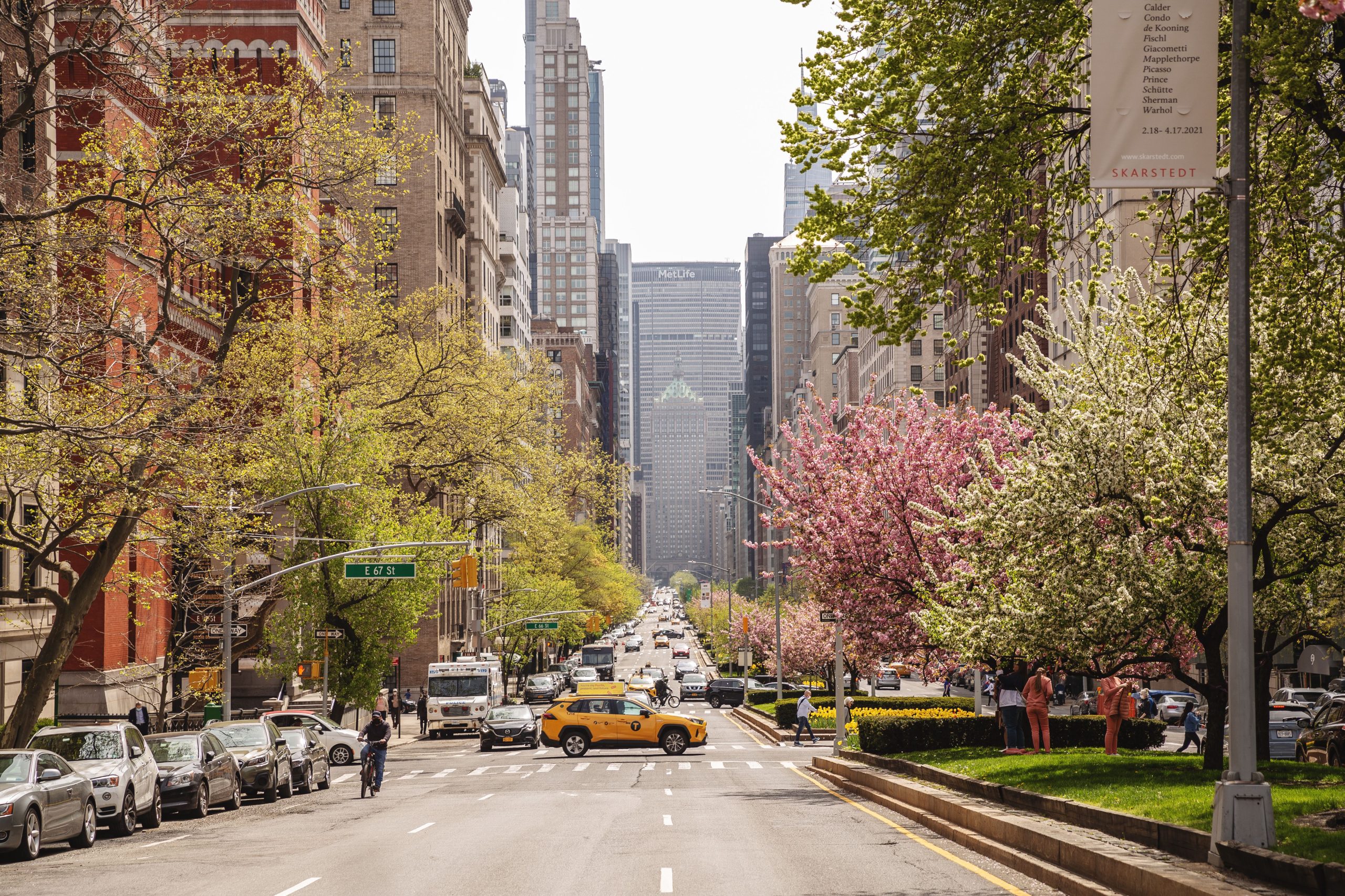 Eco Friendly Charter Buses NYC: Practical 2026 Guide to Green Group Travel 3 Vibrant New York City street scene in spring with blooming trees and urban life.